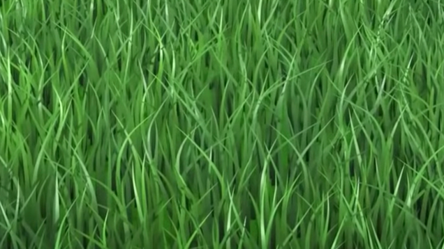 Illustration for article titled 10 Clumps Of Grass In Video Games